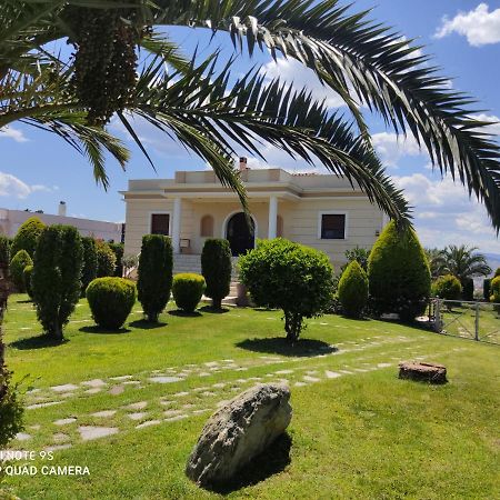 Luxury Villa Thea Volos Eksteriør billede