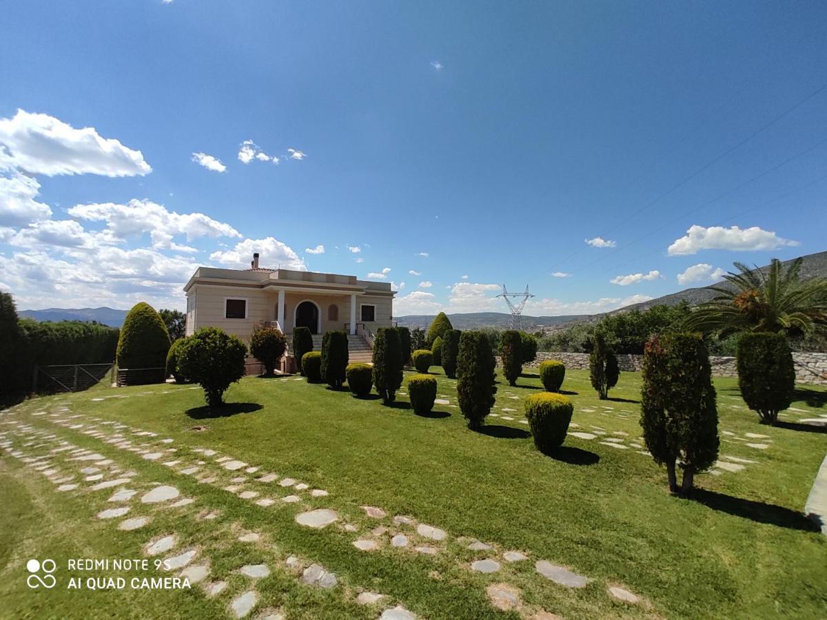 Luxury Villa Thea Volos Eksteriør billede