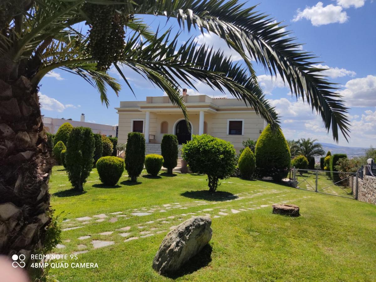 Luxury Villa Thea Volos Eksteriør billede