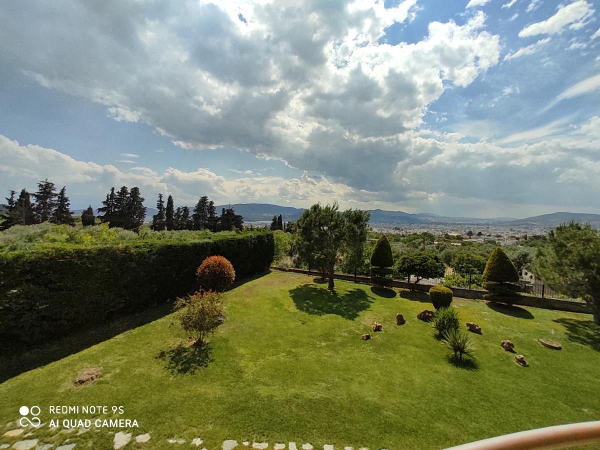 Luxury Villa Thea Volos Eksteriør billede