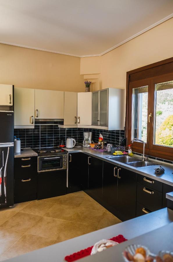 Luxury Villa Thea Volos Eksteriør billede