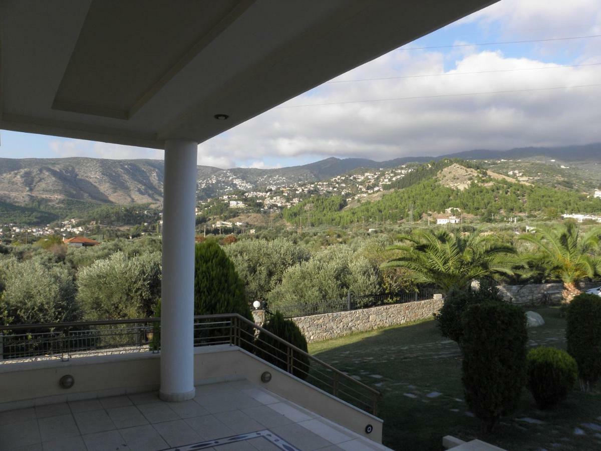 Luxury Villa Thea Volos Eksteriør billede