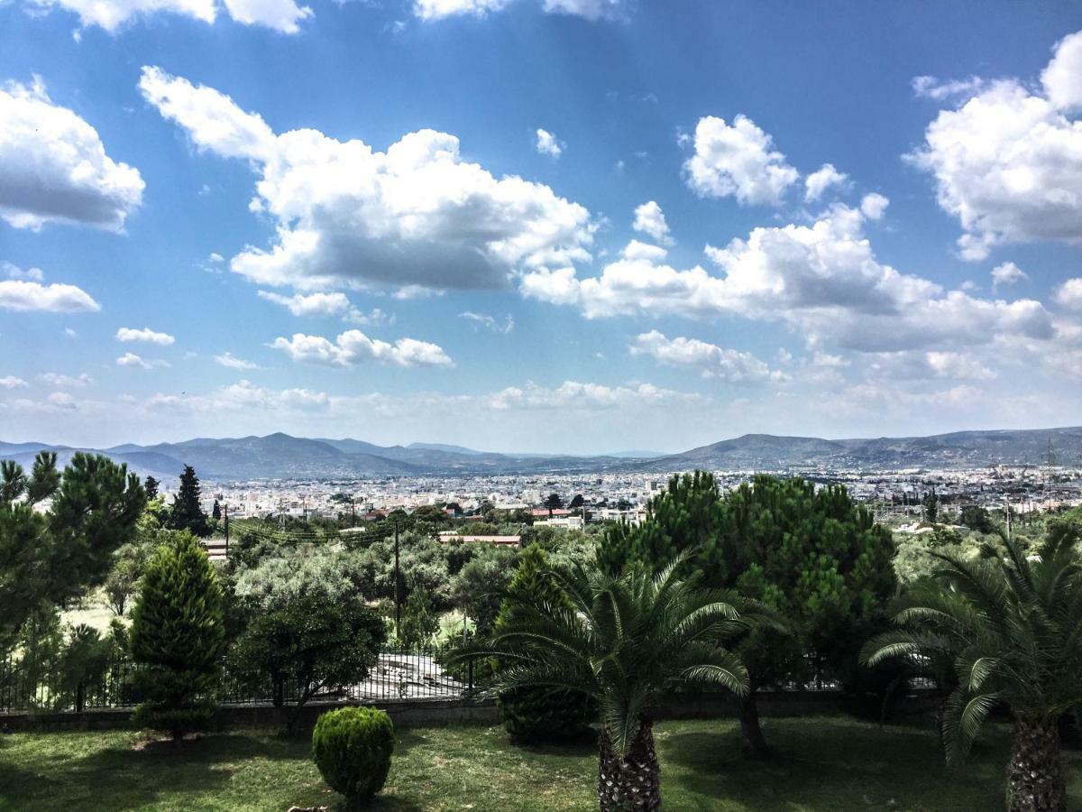 Luxury Villa Thea Volos Eksteriør billede